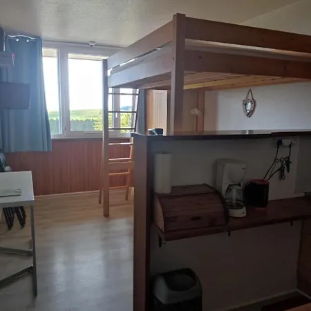 Agreable Studio Aux Grands Horizons Apartamento Besse-et-Saint-Anastaise